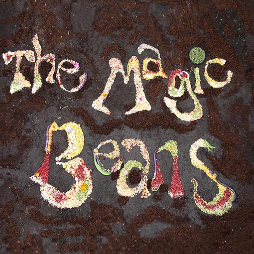 Cover Artwork for Magic Beans First Album - The Magic Beans